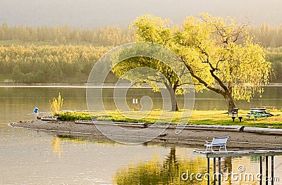 Spring Time Serenity Golden Hour at the Lake Stock Photo