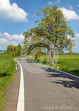 Spring time or springy alley and road, springtime view Stock Photo