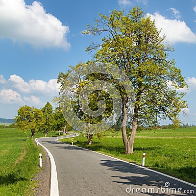 Spring time or springy alley and road, springtime view Stock Photo