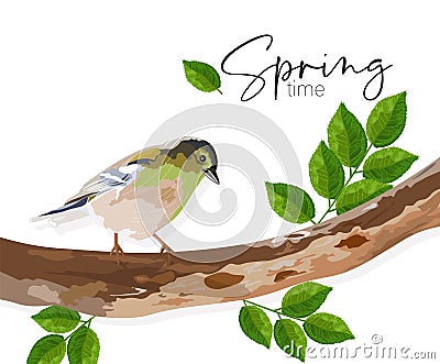 Spring time swallow bird sitting on a tree branch with green leaves Vector Illustration