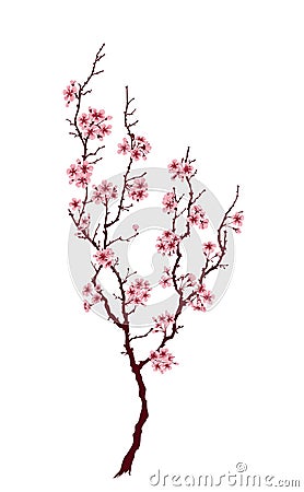 Spring tree Vector Illustration