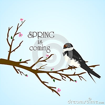 Spring tree with bird on it Vector Illustration