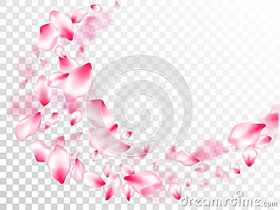 Spring tree flowers parts, airy flying petals Vector Illustration