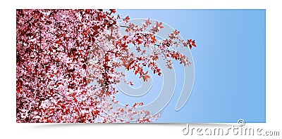 Spring tree banner Stock Photo