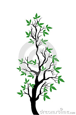Spring tree vector illustartion Vector Illustration