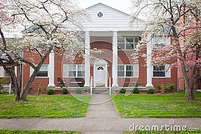 Spring Trees in Bloom in Front of a Large Brick Apartment Building Stock Photo