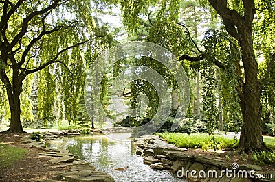 Spring Trees and Stream Stock Photo