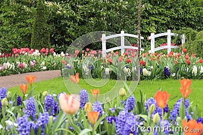 Spring tulips bridge Stock Photo