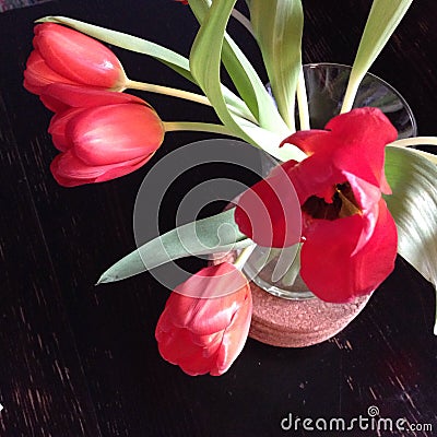 Spring Tulips Editorial Stock Photo