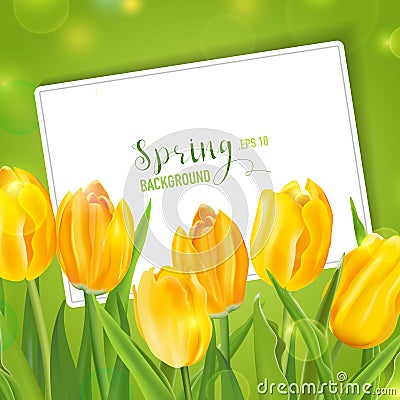 Spring Tulips Flower Background Vector Illustration