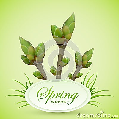 Spring twigs on green background Vector Illustration