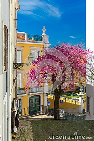 Spring typical Lisbon street, Portugal Stock Photo