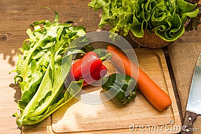 Spring Vegetable Salads Stock Photo