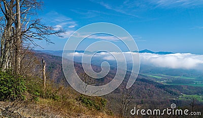 A Spring View of Devils Backbone and Valley Clouds Stock Photo