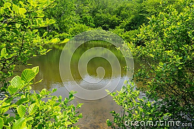 A Spring View of Little Glade Mill Pond Stock Photo