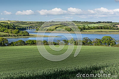 Spring View, Notter Viaduct, River Lynher, Cornwall Stock Photo