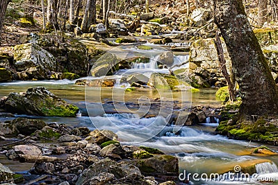 Spring View of a Wild Mountain Trout Stream Stock Photo