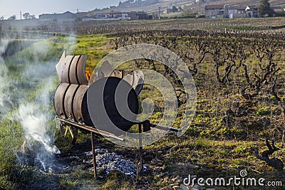 Spring vineyards near Givry, Burgundy, France Stock Photo