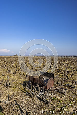 Spring vineyards near Rully, Burgundy, France Stock Photo