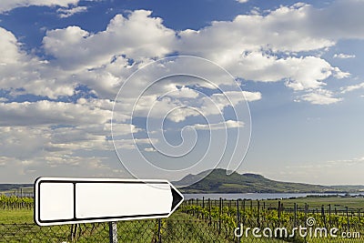 Spring vineyards under Palava near Sonberk, South Moravia, Czech Republic Stock Photo