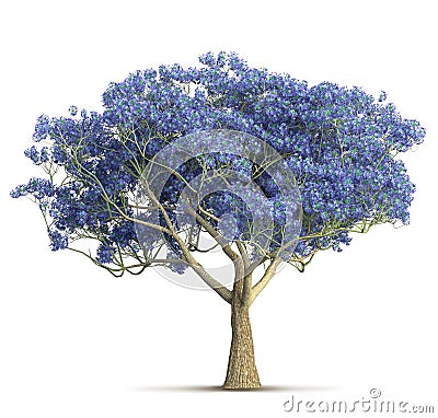 A spring violet bloom tree isolated 3D illustration Cartoon Illustration