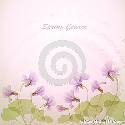 Spring violet flowers. Vector Illustration