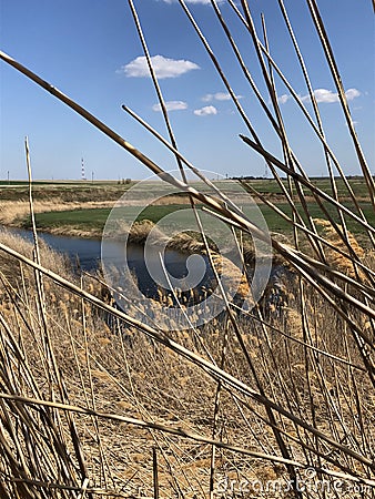 Spring walk on the steppe. Stock Photo