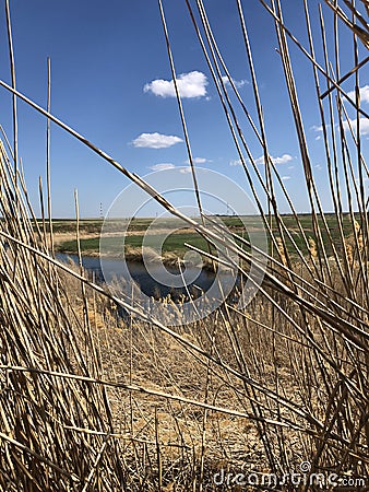 Spring walk on the steppe. Stock Photo