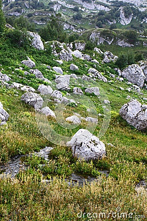 Photo of nature - spring water mountain river and the pretty petrous creek on North Caucasus Stock Photo