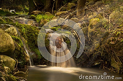 Spring Waterfall Tiverton Ontario Canada Stock Photo
