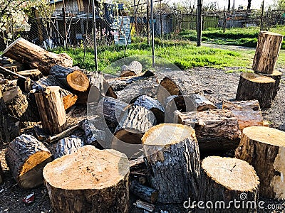 Spring weather, sunny sky, flowering trees in the village. Chopped firewood in the village yard Stock Photo