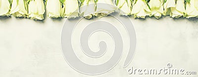 Spring white roses, gray background, top view Stock Photo