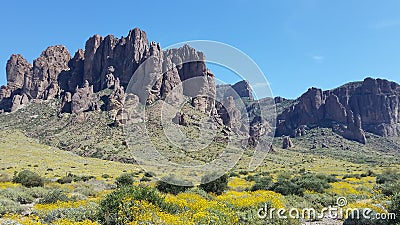 Spring wildflowers in Superstition Mountains Stock Photo