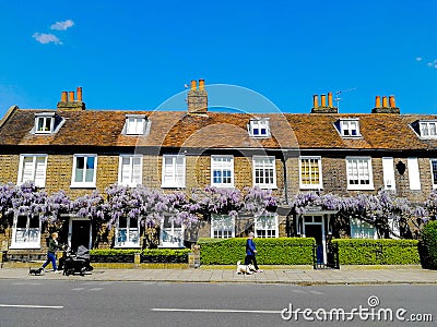 Spring Wisteria Flower Bloom Cottages England Editorial Stock Photo