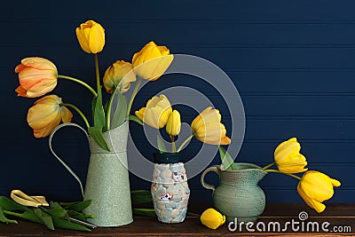 Spring Yellow Tulips Still Life with green vases on a wood shelf or table with dark navy blue boards background for copy space. I Stock Photo