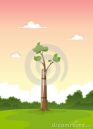 Spring Young Tree - Morning Of Life Stock Photo