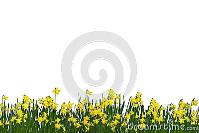 Springtime Stock Photo