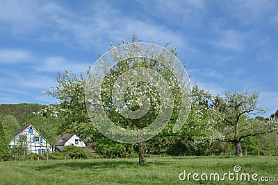 Springtime in Bergisches Land in Solingen,Germany Stock Photo