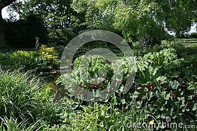 Springtime in Beth Chatto`s gardens Stock Photo