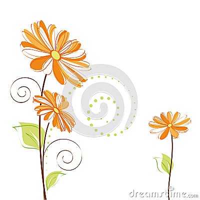 Springtime colorful Daisy flower Vector Illustration