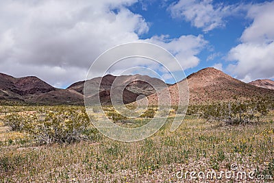 Springtime desert Landscape near Calico California Stock Photo