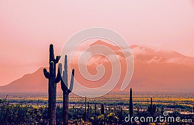 Panoramic view of rainy day in desert, springtime, Tucson Arizona Stock Photo