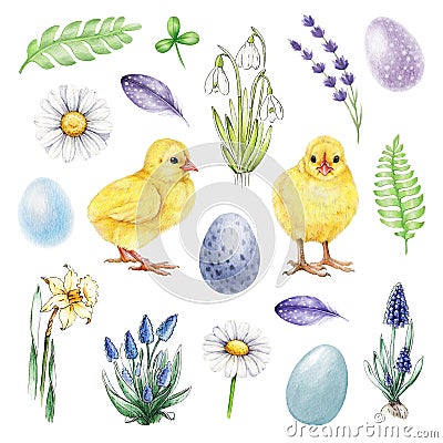 Springtime elements hand drawn watercolor set. Easter traditional element collection. Small cute yellow chicks, spring Stock Photo