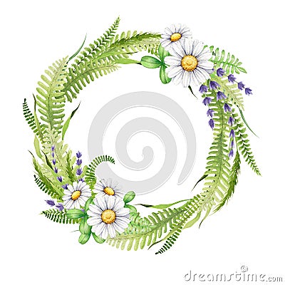 Springtime floral wreath with daisy flowers. Watercolor hand drawn illustration. Lush wreath from green grass, fern Cartoon Illustration