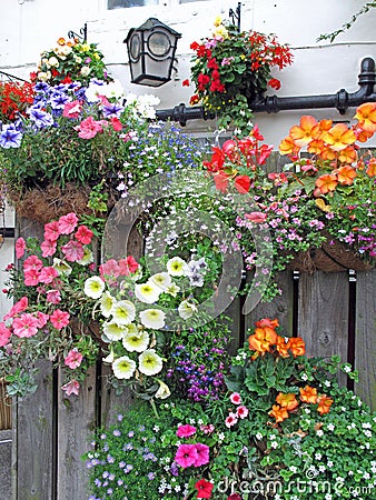 Springtime Flower Baskets on Wood Fence Stock Photo