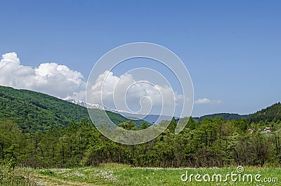 Springtime green forest, glade and valley among Lozen mountain, Plana mountain and snowy Vitosha mountain near to Pasarel village Stock Photo