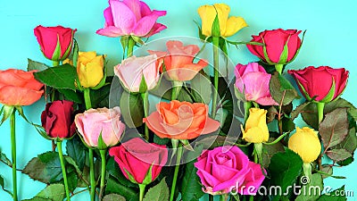 Springtime overhead with beautiful fresh flowers Stock Photo