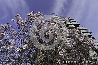 Springtime at Portello park, Milan, Italy Stock Photo