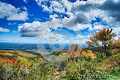 Springtime at Scenic Blue Ridge Parkway Appalachians Smoky Mount Stock Photo