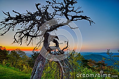 Springtime at Scenic Blue Ridge Parkway Appalachians Smoky Mount Stock Photo